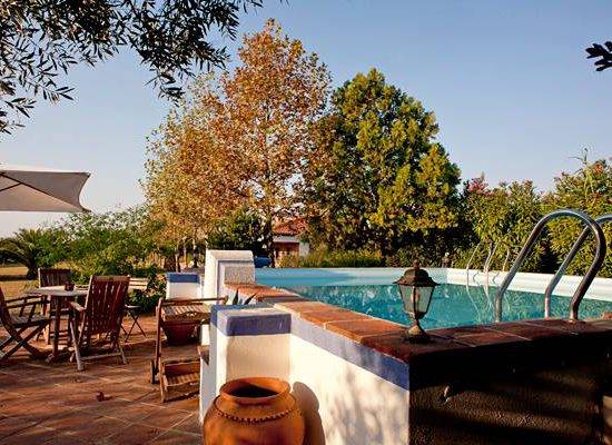 Iboga Safety: Know The Facts