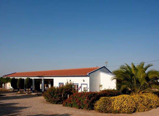 14567994_165546273897096_9206967227656762899_n