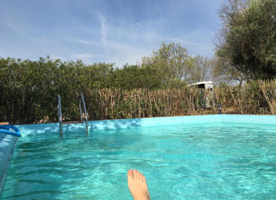 14590293_178634762588247_7686649672410925552_n