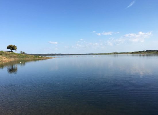 17309836_264037137381342_2986744900085057192_n