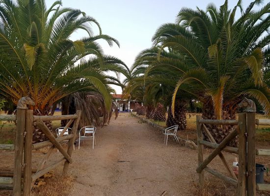 19961597_496013687406717_1500986150082521908_n