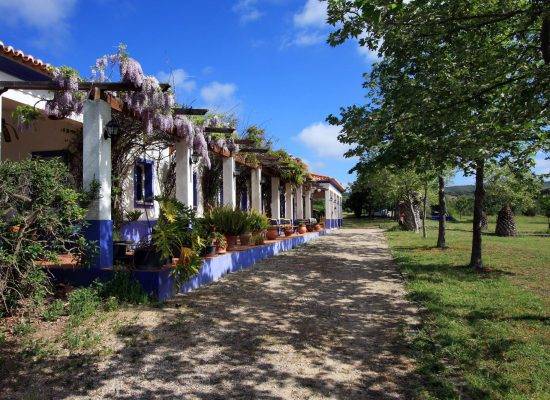 UK Addiction Treatment