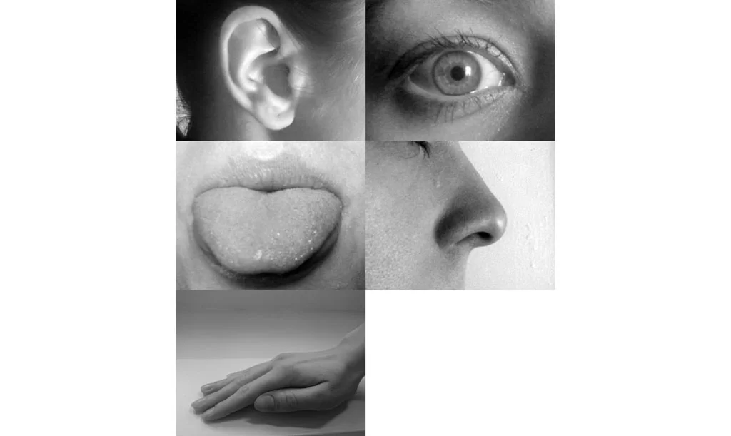 Use Your Senses