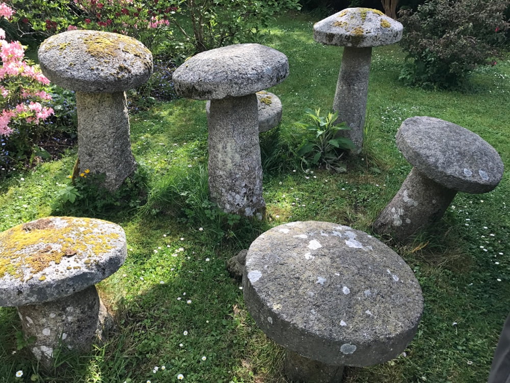 A Brief History of Psychedelics