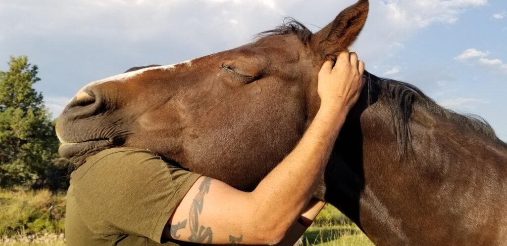 Equine-Assisted Therapy: 5 Benefits You Might Not Know About